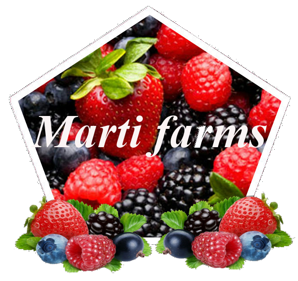 Marti Farms